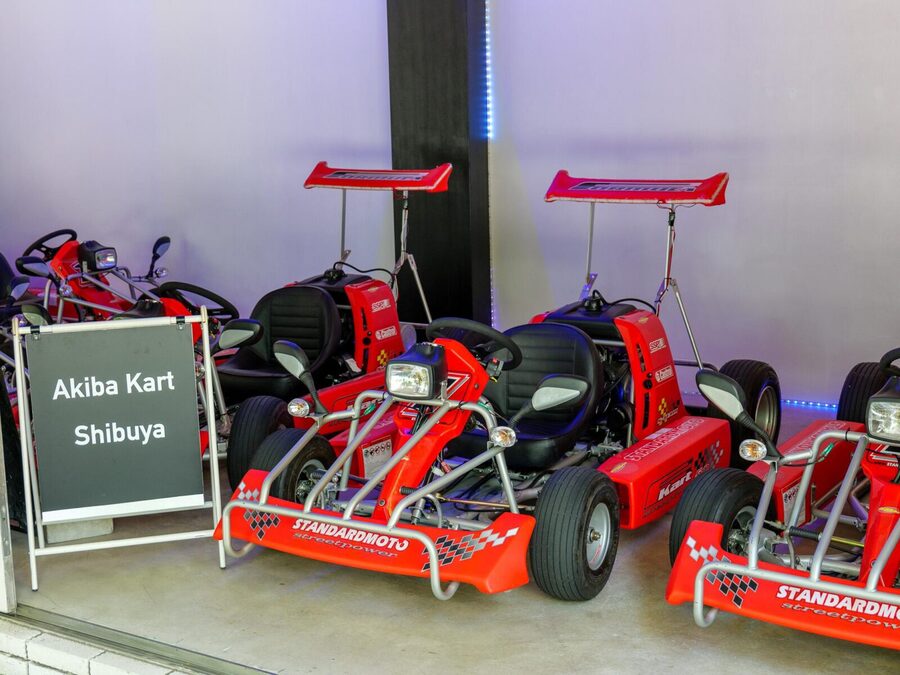 Shibuya#2 Go Karting Tour with Funny Costume - Weather, comfort, and safety concerns