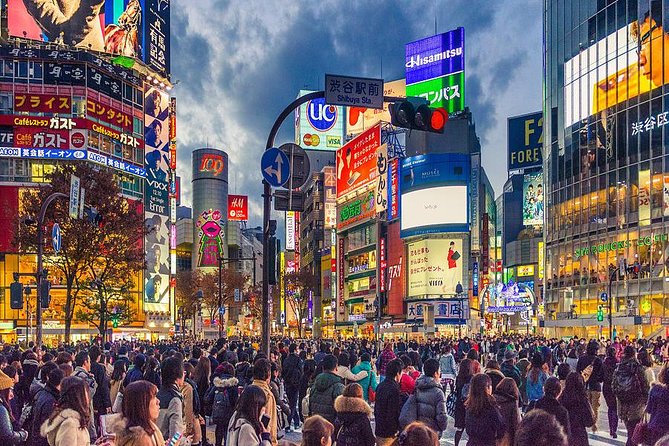 Shibuya All You Can Eat Best Food Tour The Original One in Tokyo - What you are likely to eat