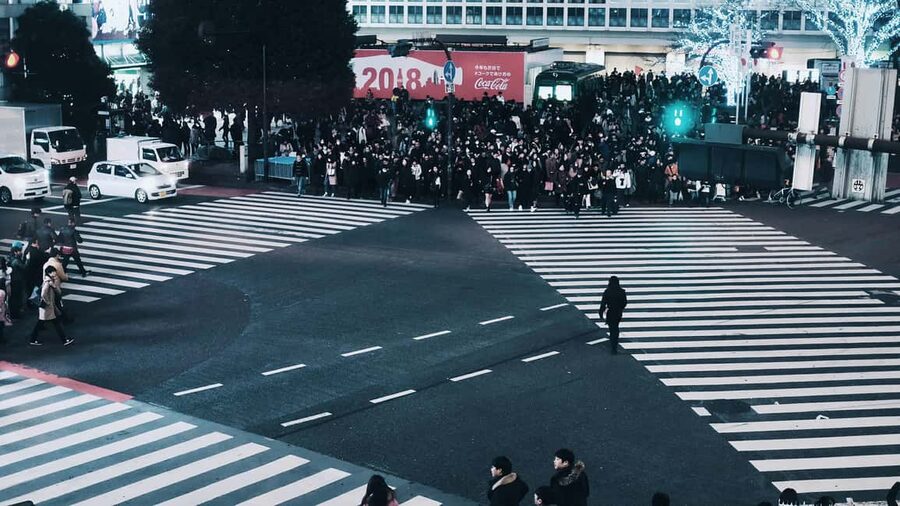 Shibuya: Crossing, Hachiko & Shibuya Sky Guided Tour - Key points at a glance