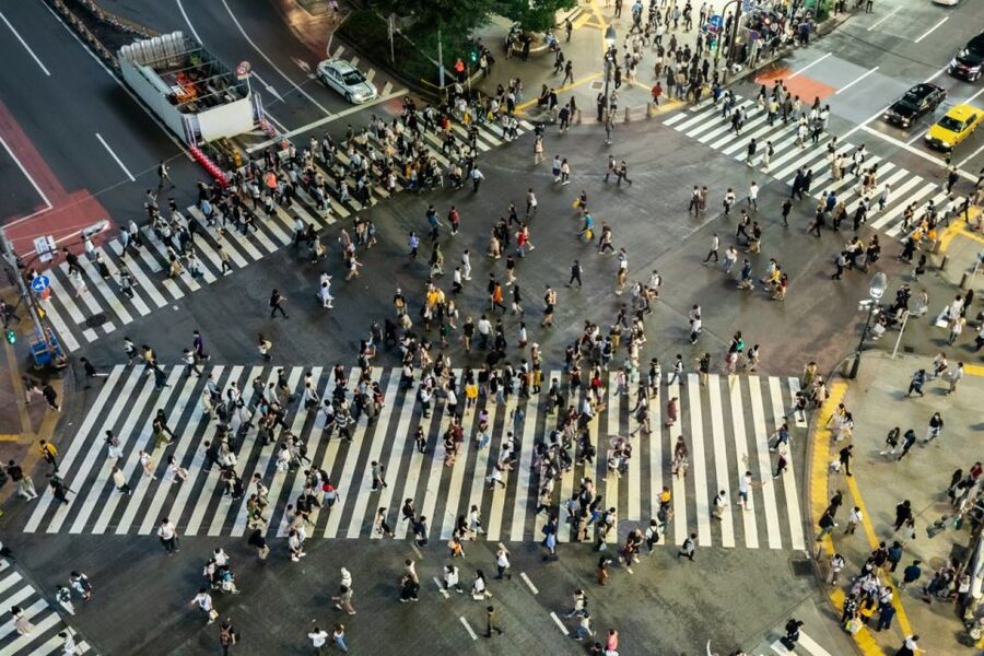 Shibuya & Harajuku: Hidden Gems & Highlights Private Tour - Is $64 per person good value?