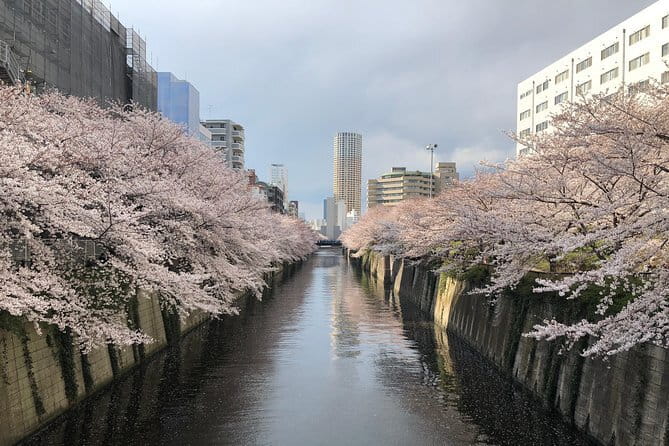 Shinjuku: Food Tour – 15 Dishes & 3 Drinks at 4 Eateries - How the guide changes the night
