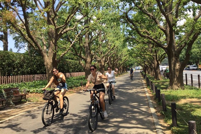 Small Group Cycling Tour in Tokyo - Shiodome and the view over Tokyo Bay