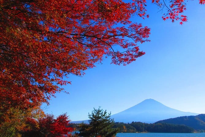 Snow Monkey Park and Miso Production Tour Bullet Train from Tokyo - Who should book this day trip?