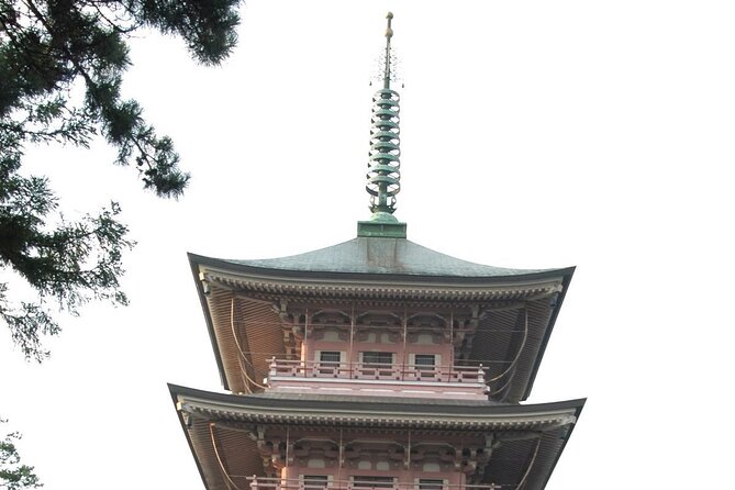 Snow Monkey Park & Zenkoji Temple Nagano Pvt. Full Day Tour. - Timing, seasons, and how to use the flexible schedule