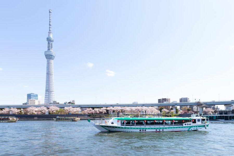 Sumida River: Japanese Traditional Yakatabune Dinner Cruise - Tokyo Bay, Odaiba, and Rainbow Bridge