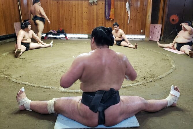 Sumo Practice Viewing Guided Tour and Photo with Sumo Wrestlers - What you are really seeing at Tatsunami-beya