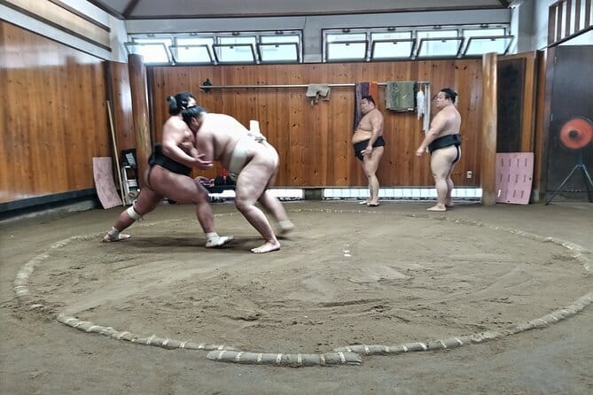 Sumo Practice Viewing Guided Tour and Photo with Sumo Wrestlers - Forty-five minutes of practice, viewed in near silence