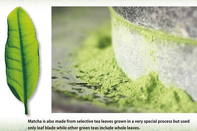 Tea Ceremony Workshop in Tokyo by the Experienced Instrucor - Tea bowls, sweets, and the details you might miss
