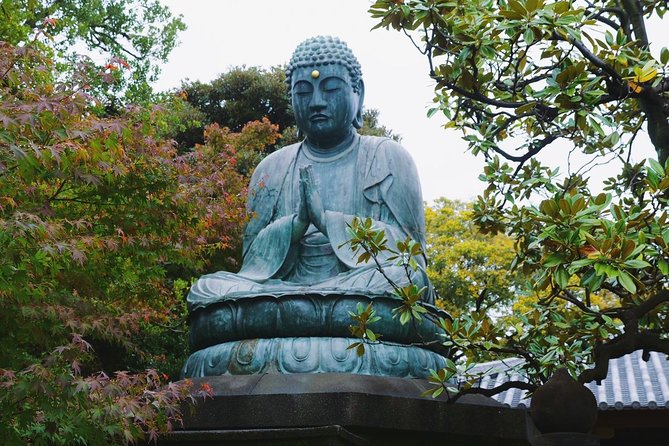 The Old Quarter of Tokyo - Yanaka Walking Tour - Ueno Sakuragi Atari and the old cider tree