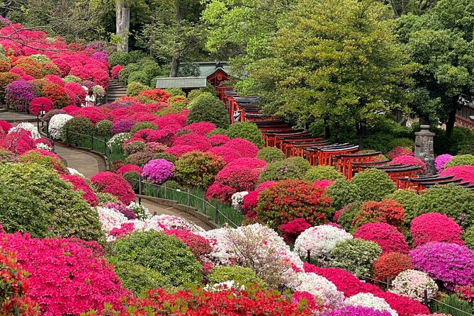 The Old Quarter of Tokyo - Yanaka Walking Tour - Yanaka Ginza brings the walk to life