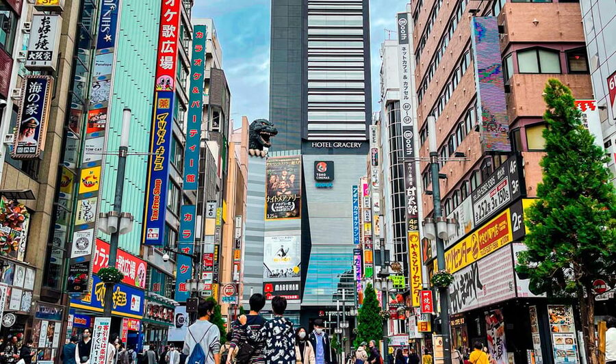Tokio A: Tour de la ciudad en Español - Spanish - Shinjuku viewpoints and the changing plan