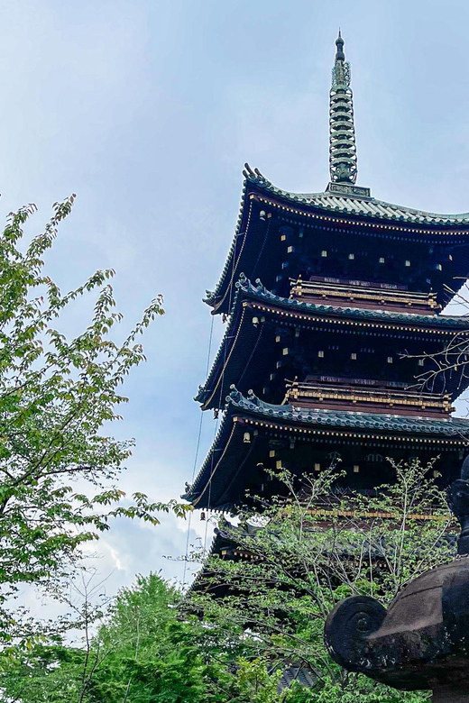Tokio A: Tour de la ciudad en Español - Spanish - Kabukicho, Golden Gai, and Tokyo after dark