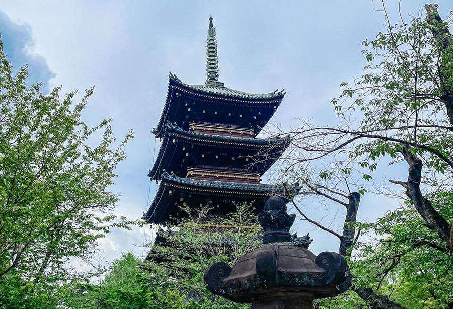 Tokio A: Tour de la ciudad en Español - Spanish - Who will get the most from this day