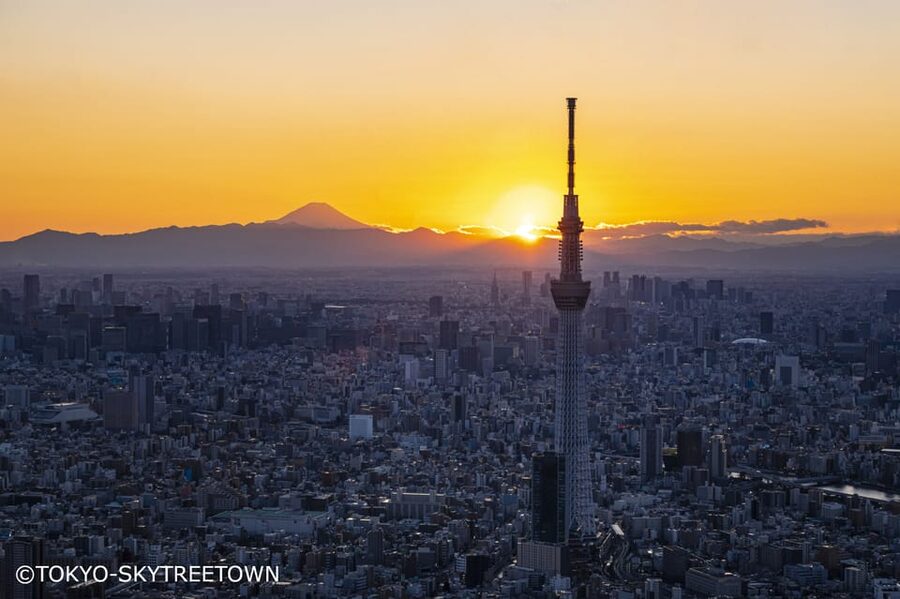 Tokyo: 1 Day Bus Tour with Meiji-Jingu,Odaiba,lunch&Skytree - Key points to know before booking