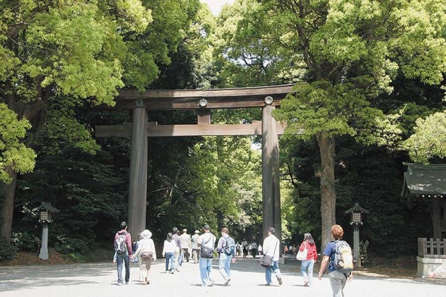 Tokyo: 1 Day Bus Tour with Meiji-Jingu,Odaiba,lunch&Skytree - Walking, accessibility, and what to bring