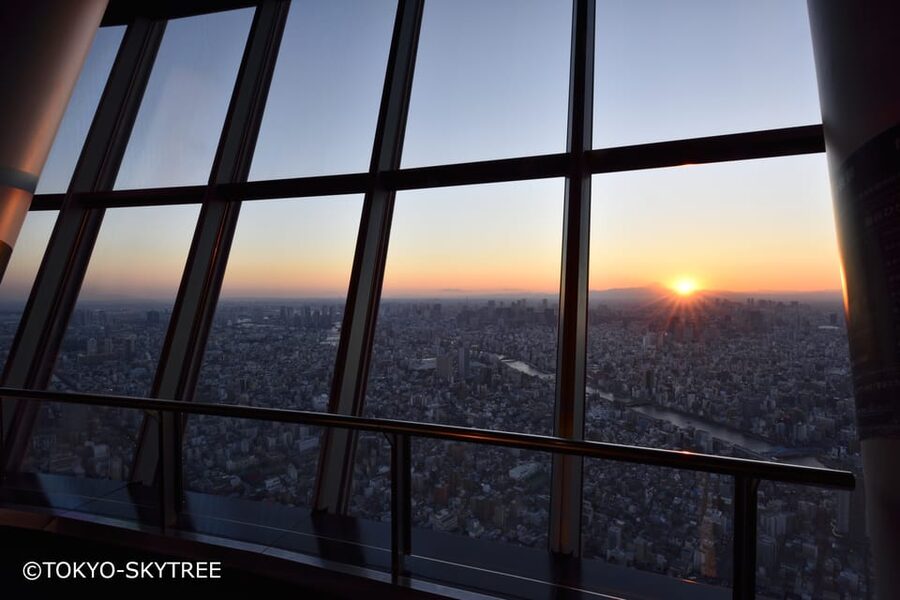 Tokyo: 1 Day Bus Tour with Meiji-Jingu,Odaiba,lunch&Skytree - Meiji Shrine, Tokyo’s quiet forest opening