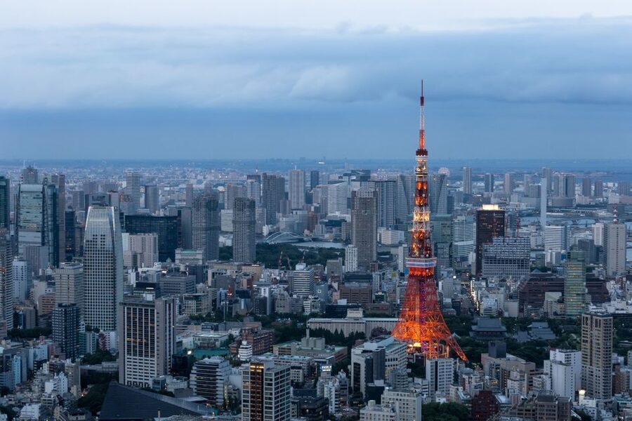 Tokyo: 1-Day Private Customizable Tour by Car - Tokyo in one day: key points