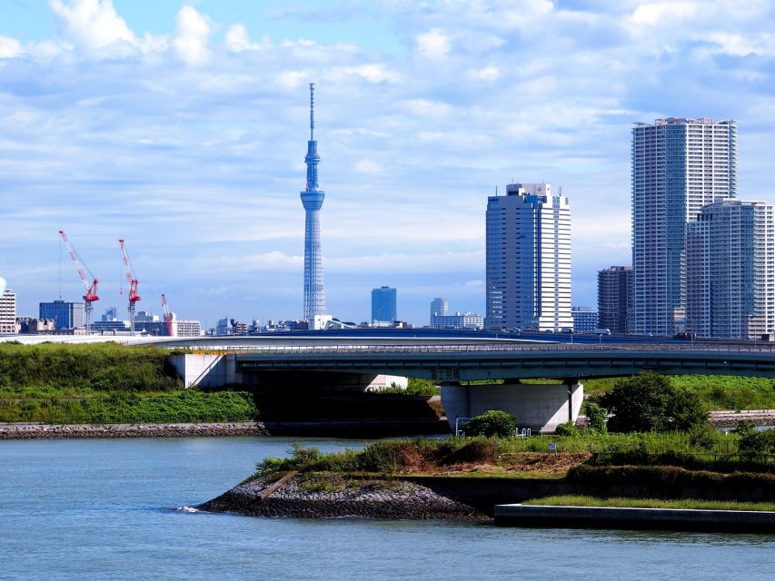 Tokyo: 1-Day Private Customizable Tour by Car - Tokyo Skytree adds a high view, at an extra cost