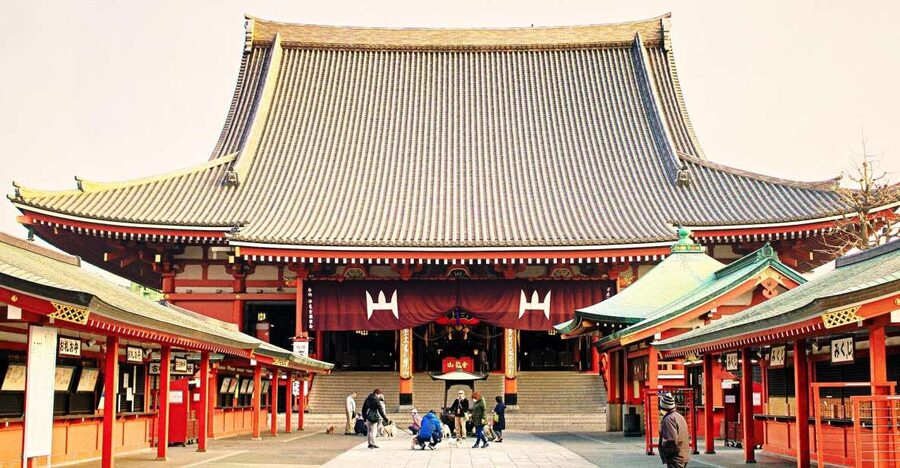 Tokyo: 1-Day Private Customizable Tour by Car - Tsukiji Outer Market starts the day with food and movement