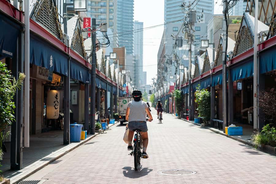 Tokyo: 3-hour Guided E-Bike Tour of the City's Hidden Gems - Why a Tokyo e-bike tour works so well