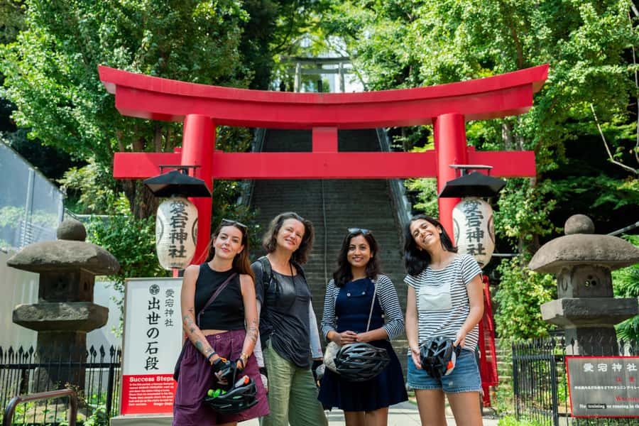 Tokyo: 3-hour Guided E-Bike Tour of the City's Hidden Gems - What the riding feels like in real Tokyo