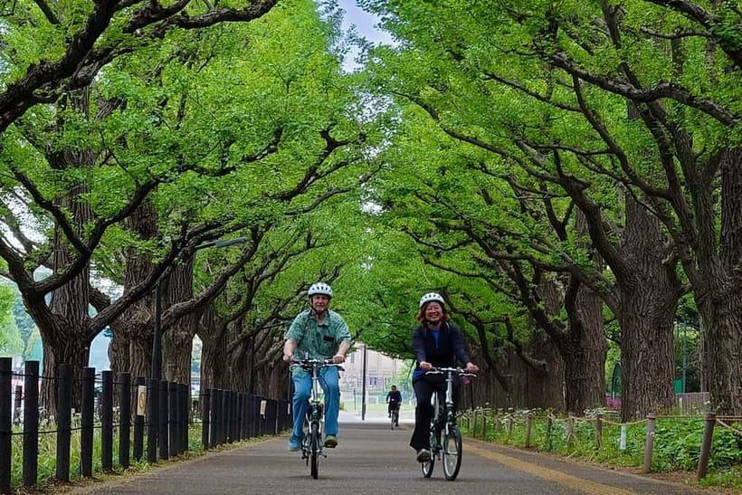 Tokyo: 3h Private E-bike Tours, Starting at Your Hotel - Tokyo Metropolitan Government Building and Shinjuku