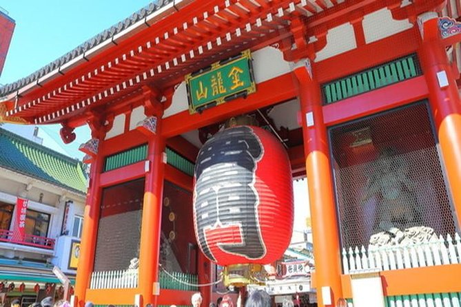 Tokyo 4hr Private Tour with Government-Licensed Guide - Meiji Jingu and the Calm of Yoyogi