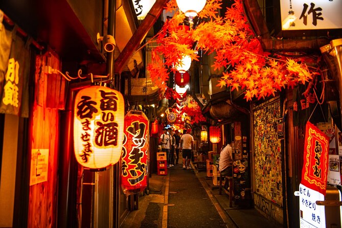 Tokyo 6hr Instagram Highlights Private Tour with Licensed Guide - Meiji Jingu and Harajuku: a sharp change of mood