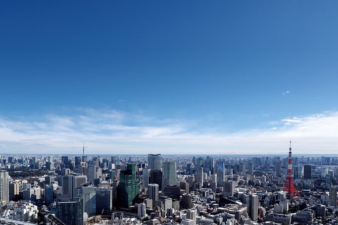 Tokyo 6hr Instagram Highlights Private Tour with Licensed Guide - Tokyo’s gardens: beautiful, but check the extra cost