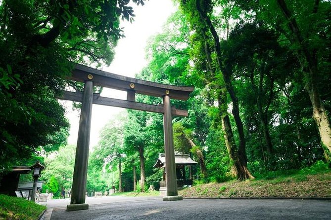 Tokyo 6hr Private Tour with Government-Licensed Guide - The Imperial Palace: history from the outside