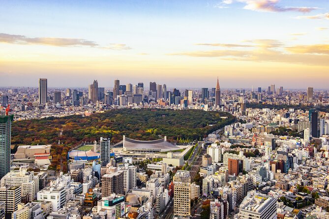 Tokyo 8hr Private Tour with Licensed Guide from Yokohama - Why starting in Yokohama makes sense