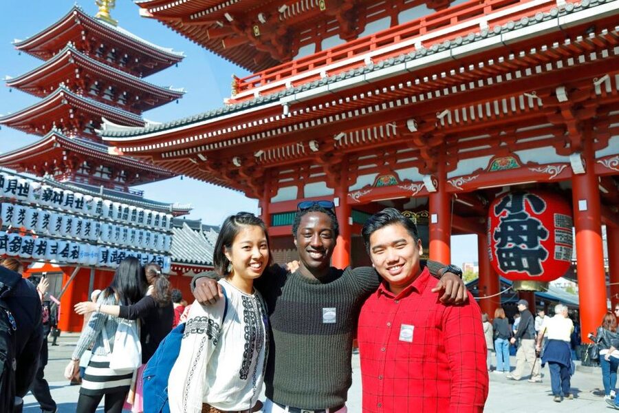 Tokyo: A Half-Day Trip Bus Tour in the Morning - Who will get the most from this tour