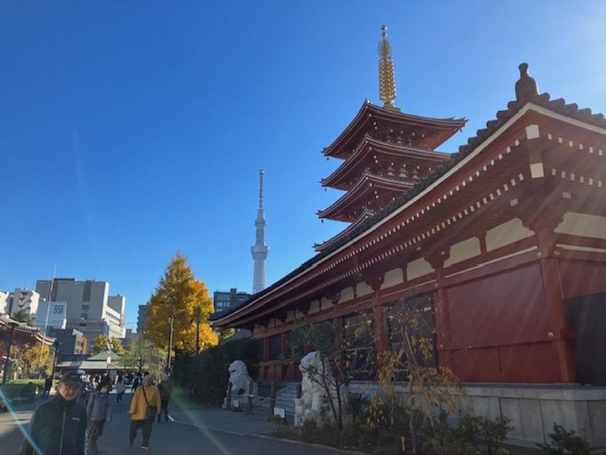 Tokyo: A Half-Day Trip Bus Tour in the Morning - Booking tips before you go