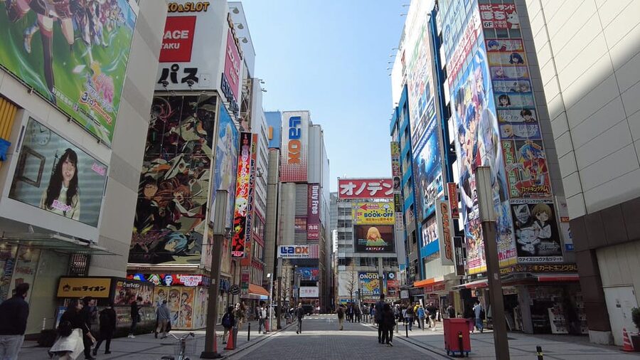 Tokyo Akihabara, Anime, Manga, Video Games & Maid Cafe Tour - Why Akihabara works best with a guide