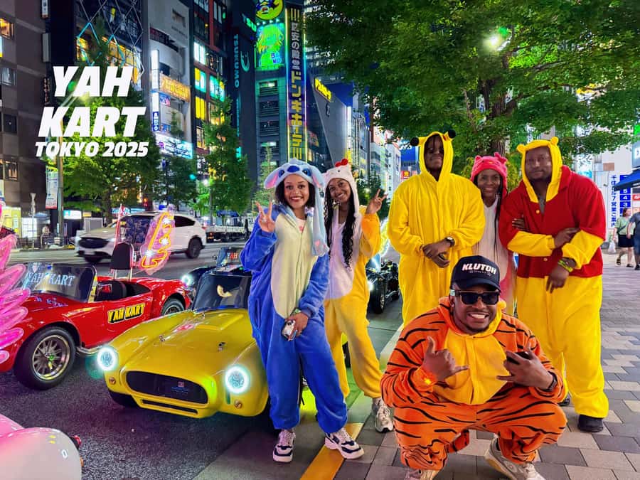 Tokyo: Akihabara/Asakusa Go-Karting Tour (including guide) - What this Tokyo kart tour is really like