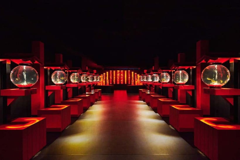 Tokyo: Art Aquarium Museum GINZA Entry Ticket - Seasonal art gives repeat visits a reason