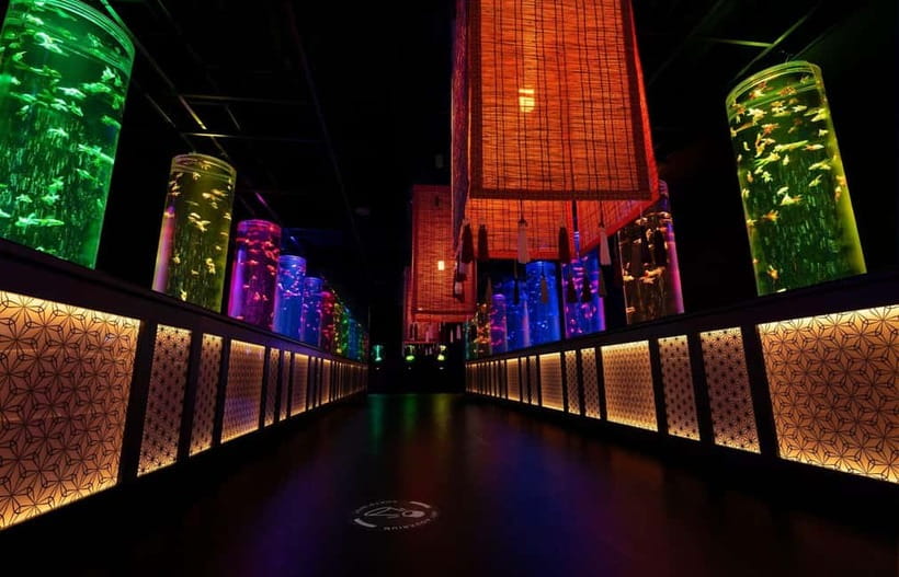 Tokyo: Art Aquarium Museum GINZA Entry Ticket - Should you book this ticket?