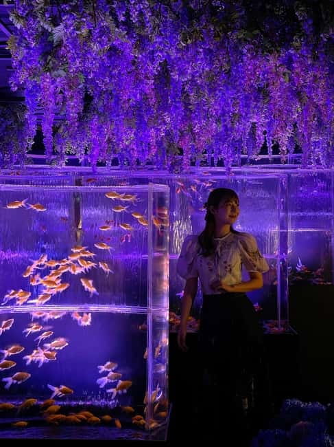 Tokyo: Art Aquarium Museum GINZA Entry Ticket - What the one-hour visit feels like