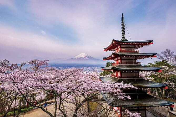 Tokyo Asakusa Temple & Shrine Walking Tour with Local Guide - Asakusa Shrine and the meeting of Shinto and Buddhism