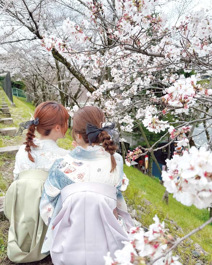 Tokyo Asakusa: Traditional Kimono Rental Experience at Wargo - The Deluxe Plan, Hair, and Added Cost