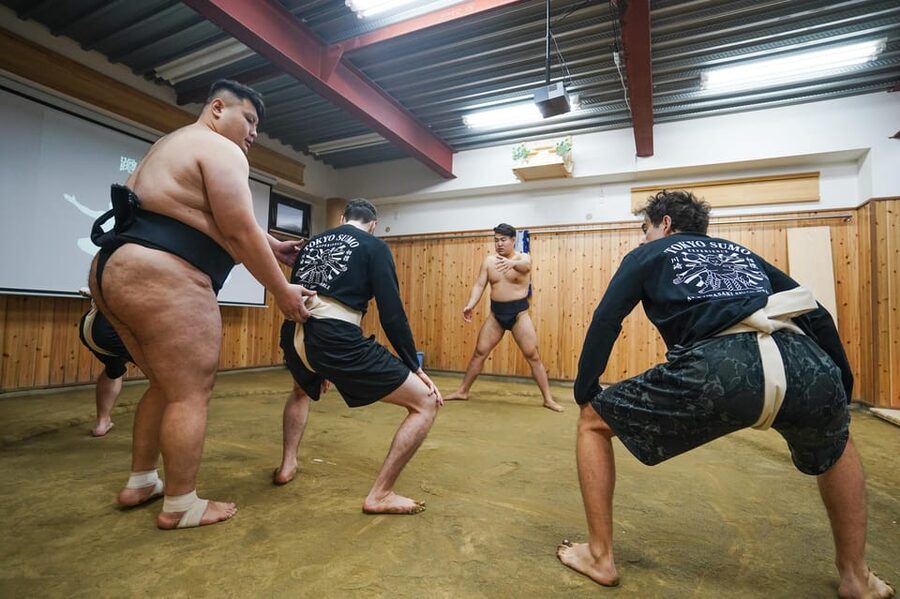 Tokyo: Authentic Sumo Wrestling Experience with Lunch - Making chanko-nabe with the wrestlers