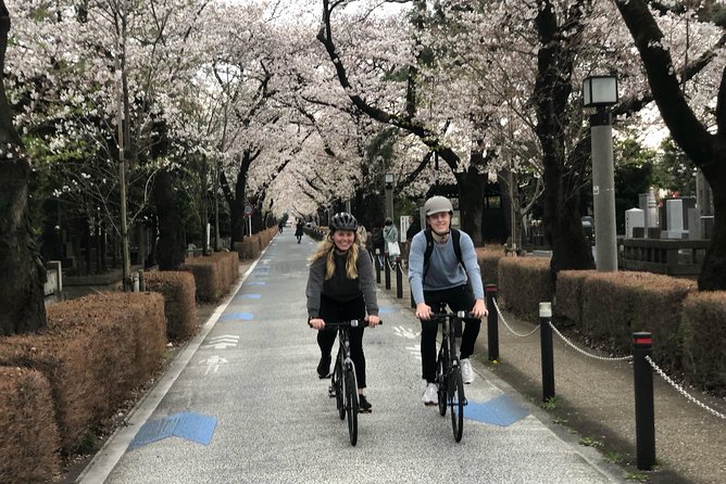 Tokyo Bike Tour: Shibuya & Hidden Tokyo - Starting near Yoyogi Station