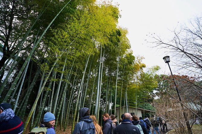 Tokyo Castle & Imperial PalaceーShogun Walking Tour - Starting at Wadakura Fountain Park
