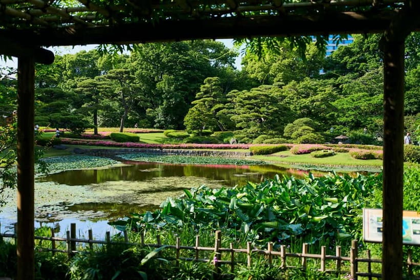 Tokyo Castle & Imperial PalaceーShogun Walking Tour - Imperial Palace East Gardens: history with room to breathe
