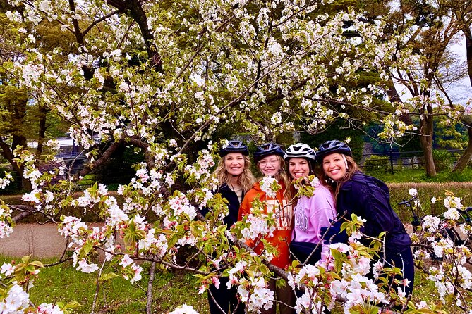 Tokyo Cherry Blossoms blooming spots E-bike Tour, 3hrs - Chidorigafuchi gives you the classic palace-side view