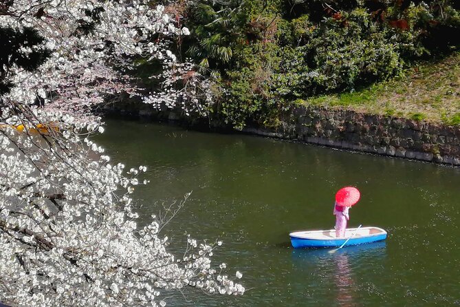 Tokyo Cherry Blossoms blooming spots E-bike Tour, 3hrs - Sotobori Park follows the outer moat