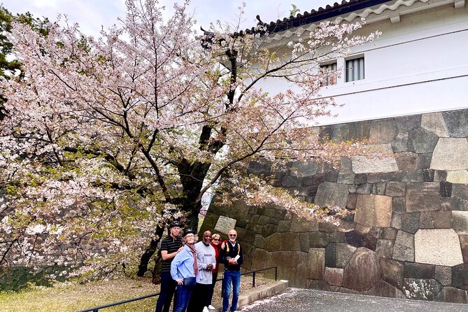 Tokyo Cherry Blossoms blooming spots E-bike Tour, 3hrs - Hibiya Park shows the city in miniature