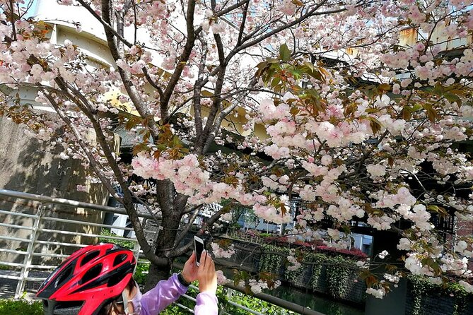 Tokyo Cherry Blossoms blooming spots E-bike Tour, 3hrs - The guides shape the experience
