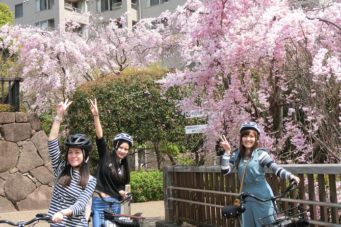 Tokyo Cherry Blossoms blooming spots E-bike Tour, 3hrs - Yasukuni Shrine adds a quieter pause