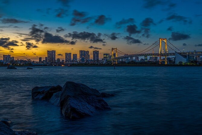 Tokyo City 1-Day Private Tour with Bilingual Driver - Why a private car helps in enormous Tokyo